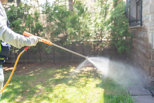 Best Emergency Pest Control  in Springfield, VA